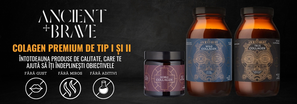 ancient and brave banner